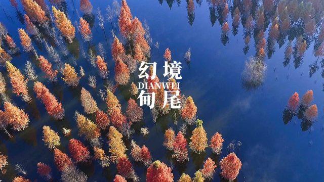逗小猴开心系列202
