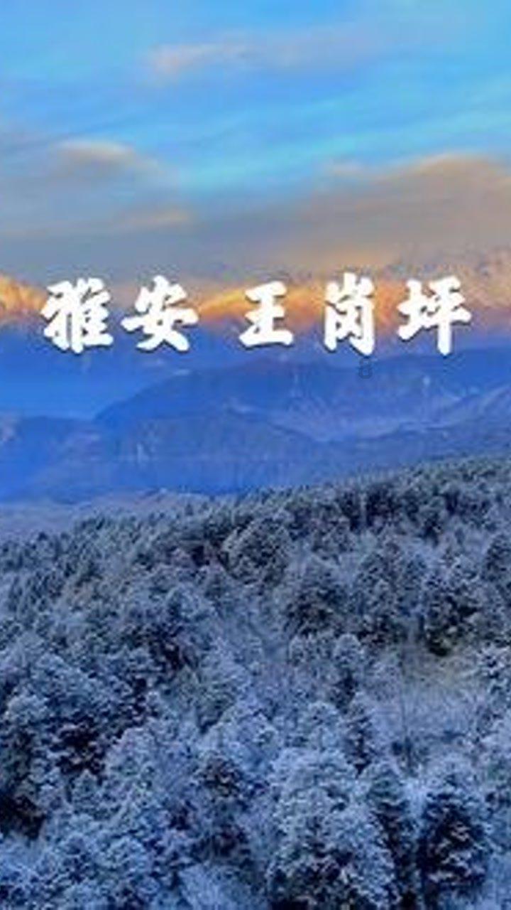 万词王