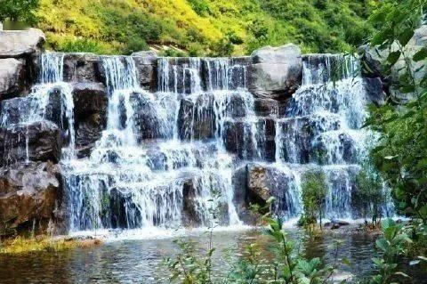 河北滦州：寒冬时节鲜花俏